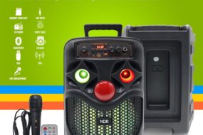 Bluetooth zvucnik NDR-P66