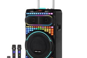 Bluetooth zvucnik NDR-1260 80W crni