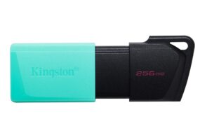Kingston Data Traveler Exodia Onyx DTXM USB flash memorija 256GB 3.2 crna
