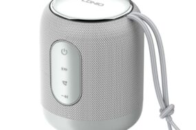 Bluetooth zvucnik LDNIO BTS 12, 5W, sivi
