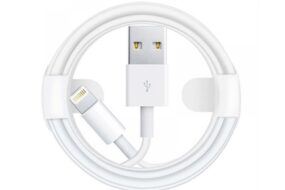 Apple data kabl Type A na Lightning 1m BULK (MXLY2ZM/A)