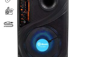 "Bluetooth zvucnik TTD-8251 8"""