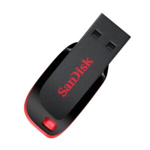 USB flash memorija SanDisk Cruzer Blade Teardrope 256GB ZJ CN