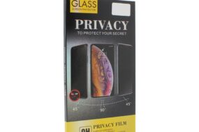 Zastitno staklo Tempered Glass Privacy 2.5D full glue za iPhone 11 Pro 5.8 crna