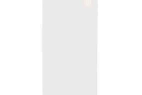Zastitno staklo Tempered Glass Plus za Samsung A145R/A146B Galaxy A14 4G/5G