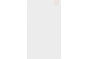 Zastitno staklo Tempered Glass Plus za Motorola Moto E22